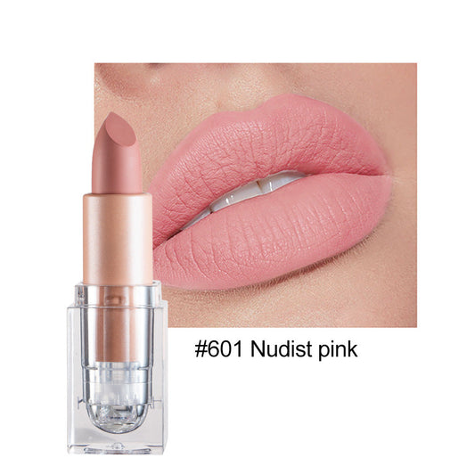Matte Lipstick 12 Color Lipstick Not Easy To Fade Nude Pink Lipstick
