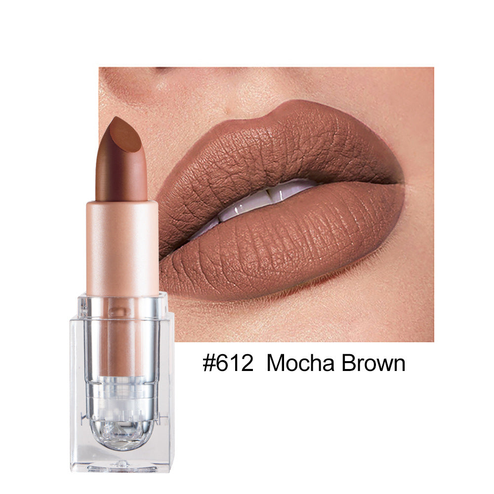 Matte Lipstick 12 Color Lipstick Not Easy To Fade Nude Pink Lipstick