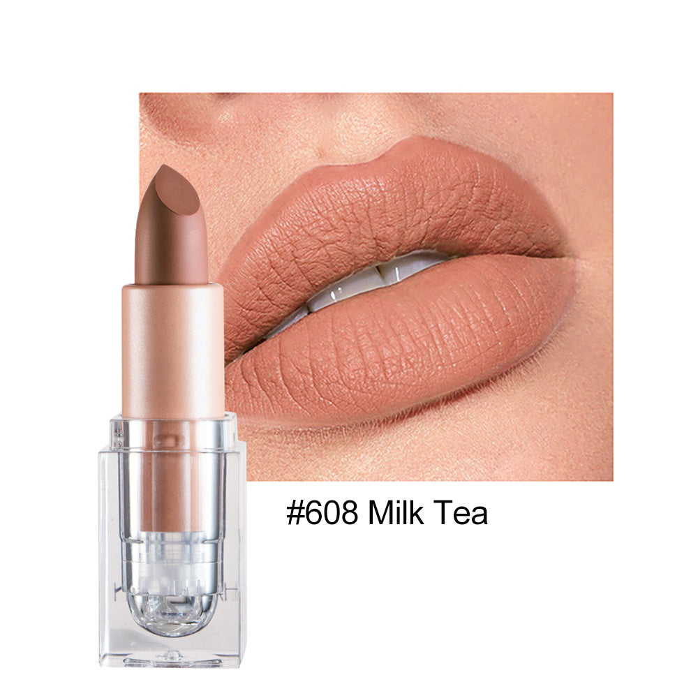 Matte Lipstick 12 Color Lipstick Not Easy To Fade Nude Pink Lipstick