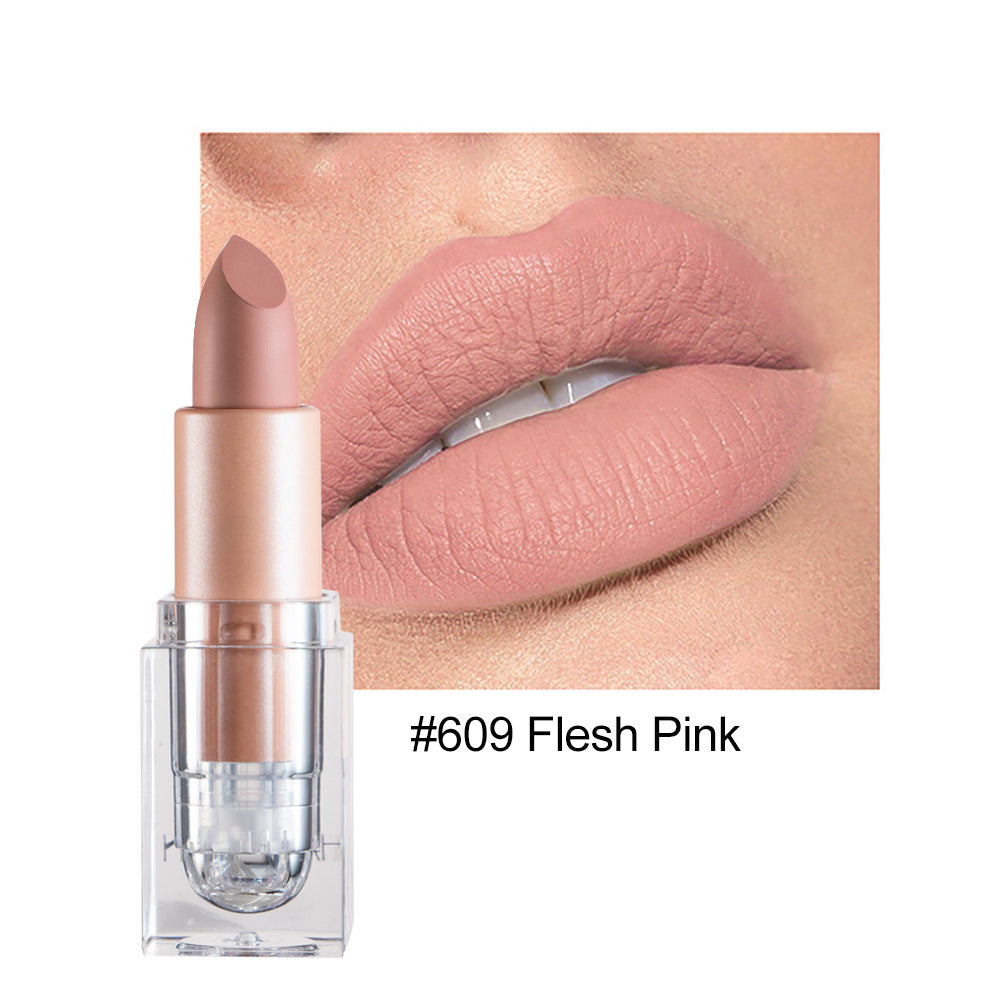 Matte Lipstick 12 Color Lipstick Not Easy To Fade Nude Pink Lipstick