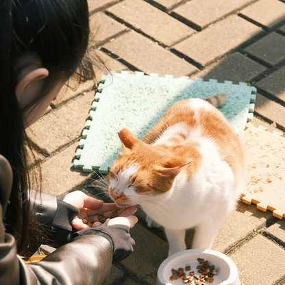 White ceramic pet food bowl with paw print — 45 degree front angle view