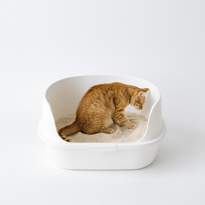 Open-top cat litter box in cream white plastic full front view on white background