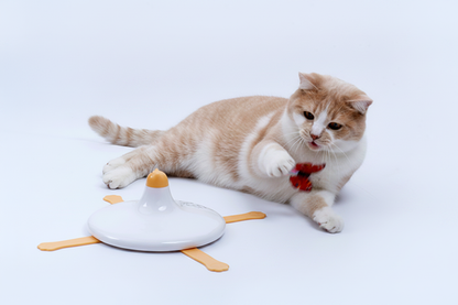 Cat pawing at electric rotating disc toy lifestyle photo on clean floor