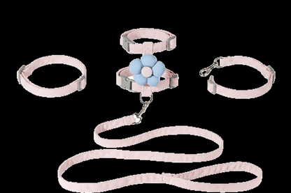 Pink cat collar harness and leash set components laid out separately on white background