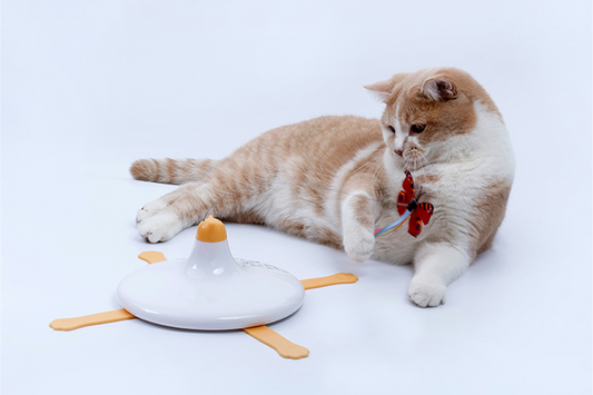 Electric Rotating Cat Toy with Retractable Arms — Automatic Interactive Disc for Indoor Cats