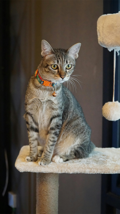 Multi-Level Cat Tree Tower with Sisal Scratching Post & Plush Perches